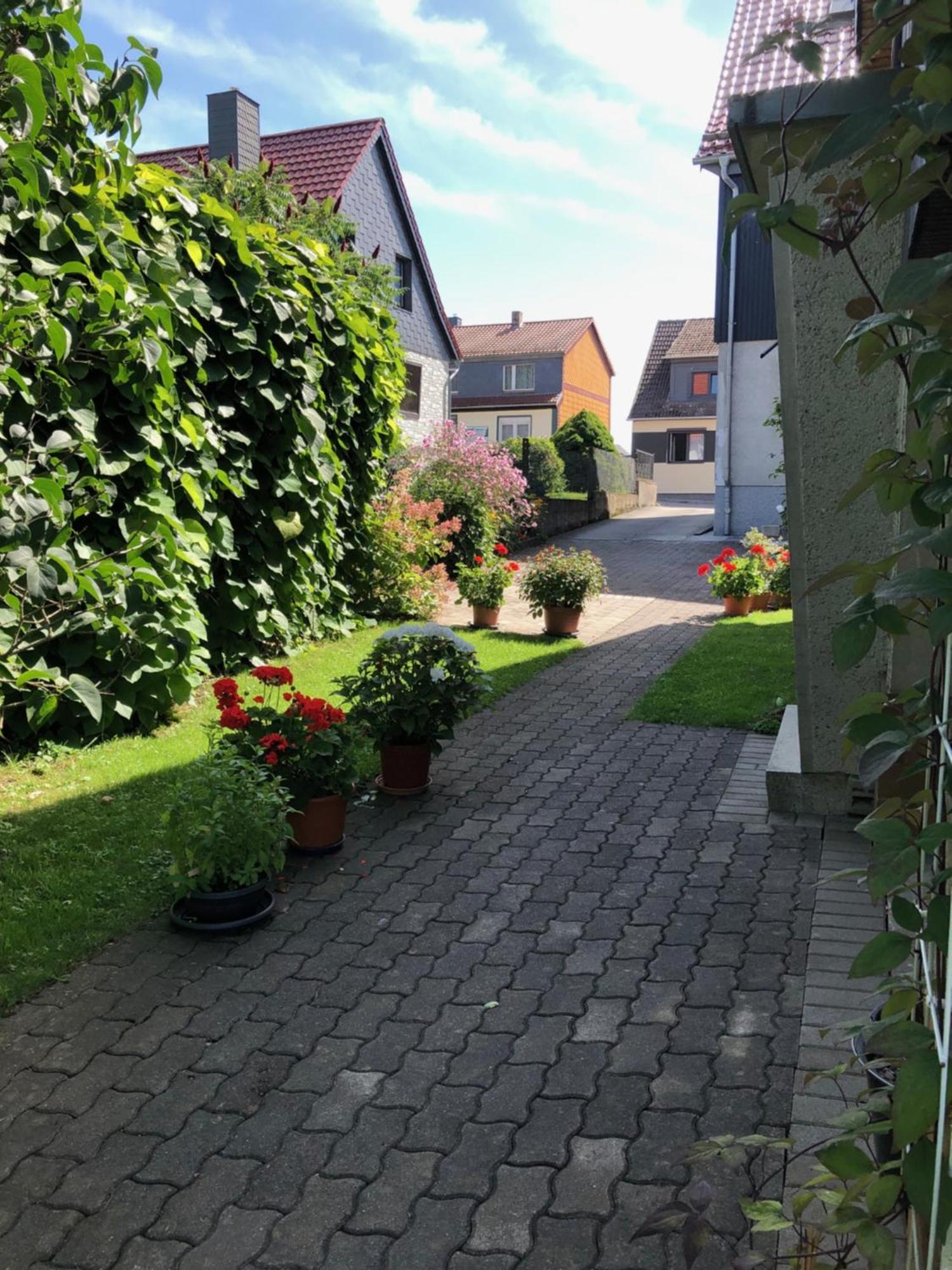 Harzquerbahnblick Lägenhet Benneckenstein Exteriör bild